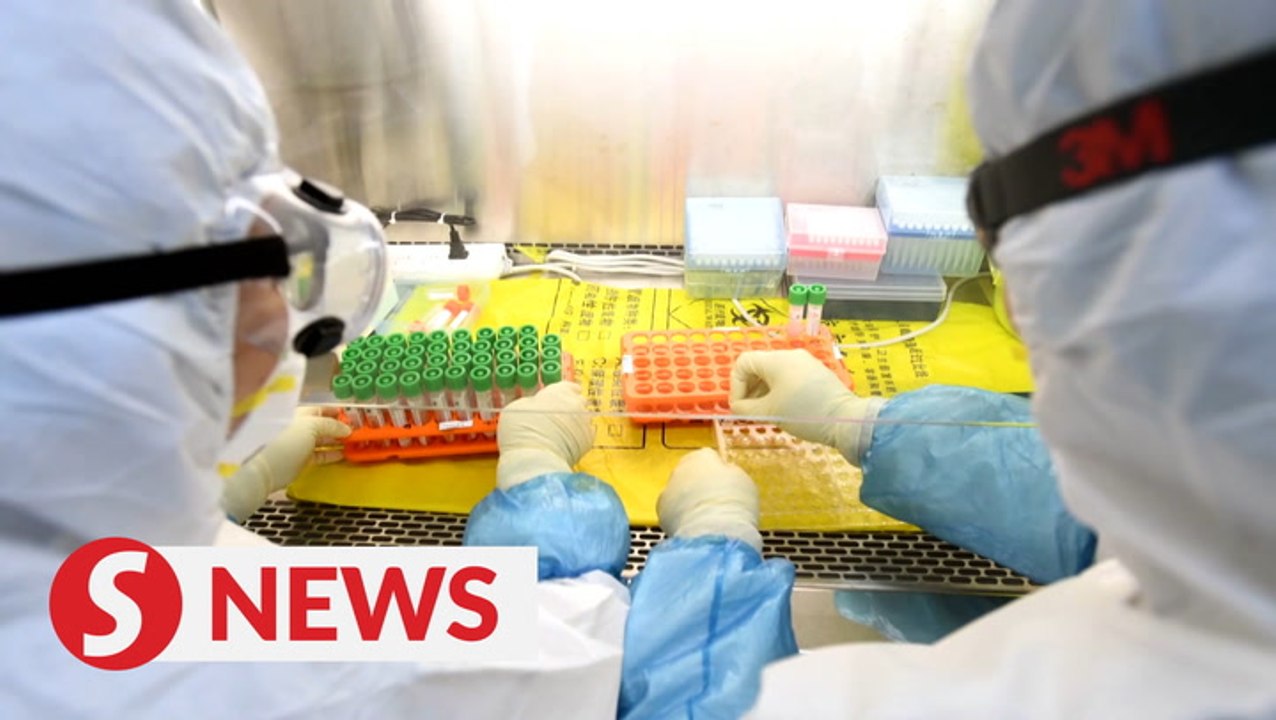 WHO says the 'hypothesis' behind China's new outbreak needs further testing