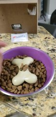 Owner Pretends to put Seasoning on Dog's Food to Make Them Eat it