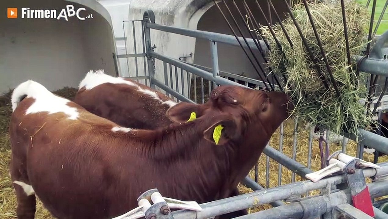 Hackl Biohof KG in Altenfelden – Milchprodukte, Wurstwaren u.v.m. aus eigener Herstellung