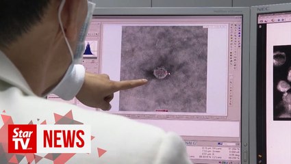 China expert: Coronavirus patients unlikely to be infected for second time