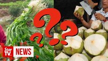 Dzulkefly comments on “coconut water and kangkung