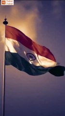 happy independence day