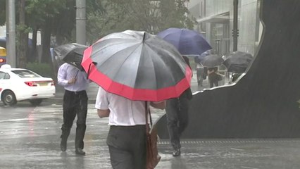 [날씨] 내일까지 막바지 장맛비, 다음 주 전국 폭염·열대야 / YTN