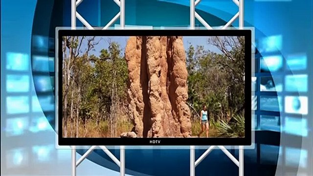 （たおやかインターネット放送)たおやか瓦版シロアリ知恵を空調応用したビルA building that applies the knowledge of termites to air conditioning.