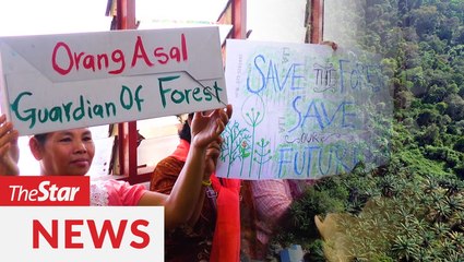 Allow all views on degazettement of forest reserve, say NGOs