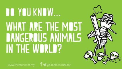 Do you know ... what the most dangerous animals in the world are?