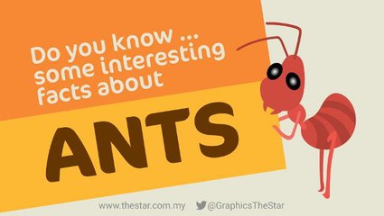 Do you know...some interesting facts about ants