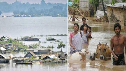Assam Floods : అసోంపై భారీ వర్షాలు, వరదల ప్రభావం ! పొంగి ప్రవహిస్తున్ననదులు !! || Oneindia Telugu