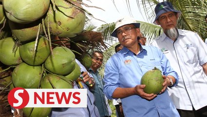 Agriculture Ministry to request RM10mil for pest management programme