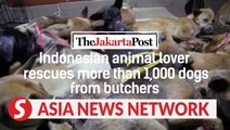 The Jakarta Post | Indonesian animal lover rescues more than 1,000 dogs from butchers