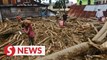Flash floods kill at least 16, displace hundreds in Sulawesi