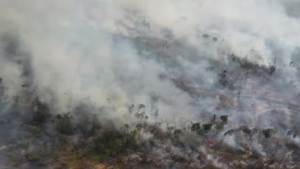 Download Video: El Amazonas registra el inicio de agosto con el mayor número de incendios en 10 años