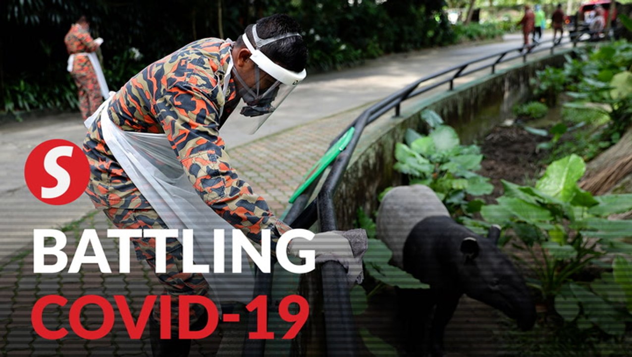 Zoo Negara undergoes disinfection