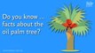 Do you know ... the facts on the oil palm?