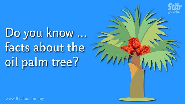 Do you know ... the facts on the oil palm?