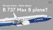 Do you know...facts about B 737 Max 8 plane