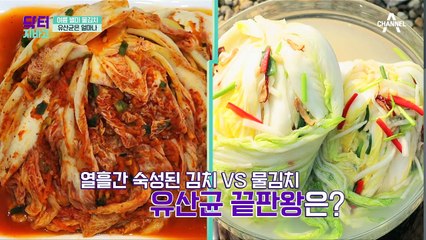 빨간 김치 비켜! ☆유산균 1등☆ 물김치 더 맛있게 먹는 법은?!