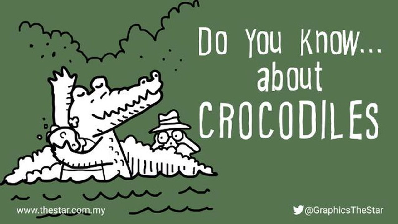 Do you know ... about crocodiles?