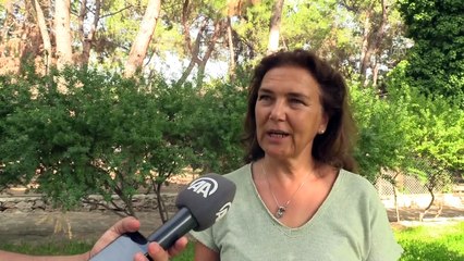 Hayvanat bahçesi sakinleri 'Sabi' ve 'Muhteşem timi'ye eş aranıyor - ANTALYA