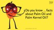 Do you know the difference between palm oil and palm kernel oil?