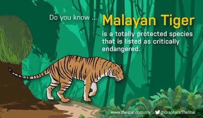 The International Tiger Day is celebrated on July 29 annually