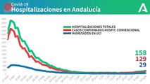 Gráfico con la evolución de los ingresos hospitalarios por coronavirus en Andalucía. COVIDー19