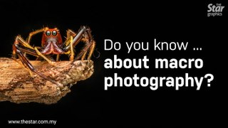Do you know ... about macro photography?