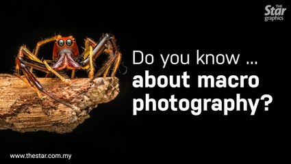 Do you know ... about macro photography?