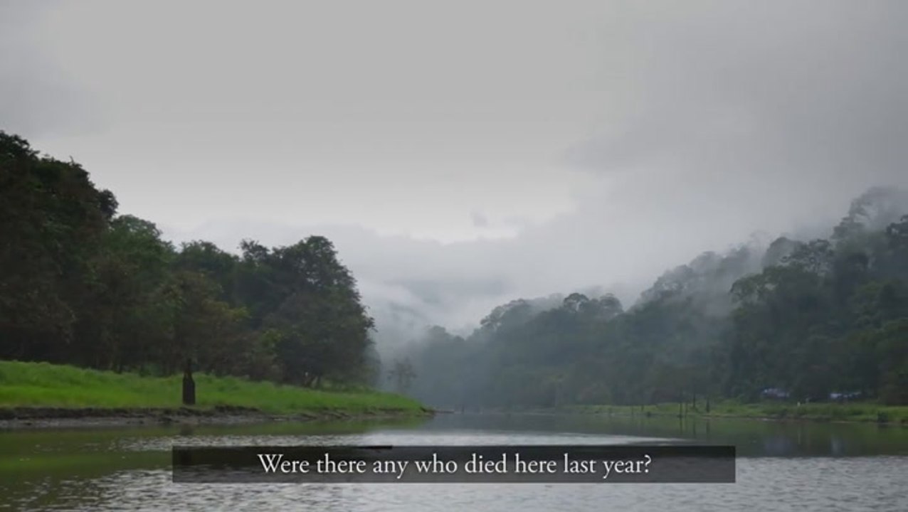 COVER STORY: Deadly disease plaguing Malaysian jungle