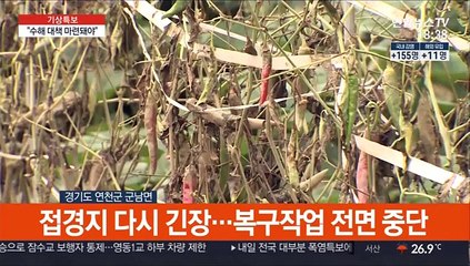 막바지 장맛비…임진강 하류 수해지 적막감