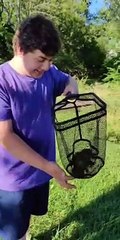 Captive Frog Frog Screeches to Secure Release