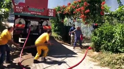 Uludağ eteklerinde orman yangını