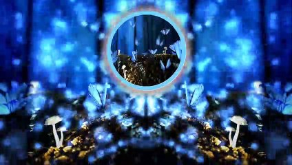 DAILYMOTION MUSIC NO COPY -Of All The Transparency Flight Of The Sugar Plum Fairy-1