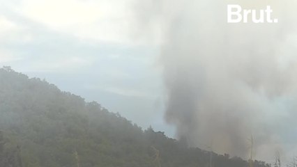 How to protect against forest fires