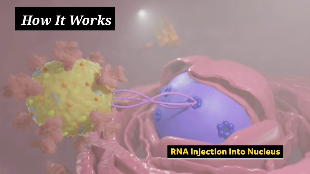 How coronavirus kills? 3D Animation