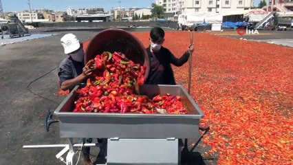 Çiğ köftenin olmazsa olmazı isotun 'acı' serüveni