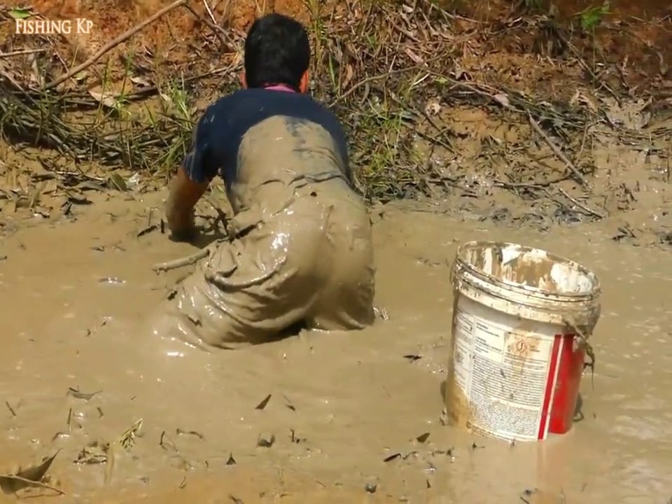 Catching Catfish in Muddy Water in Dry Season By Man | Animal Trap