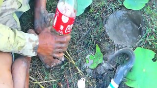 Experiment: Coca Cola and Calcibronat vs Fish in Underground Hole | Animal Trap