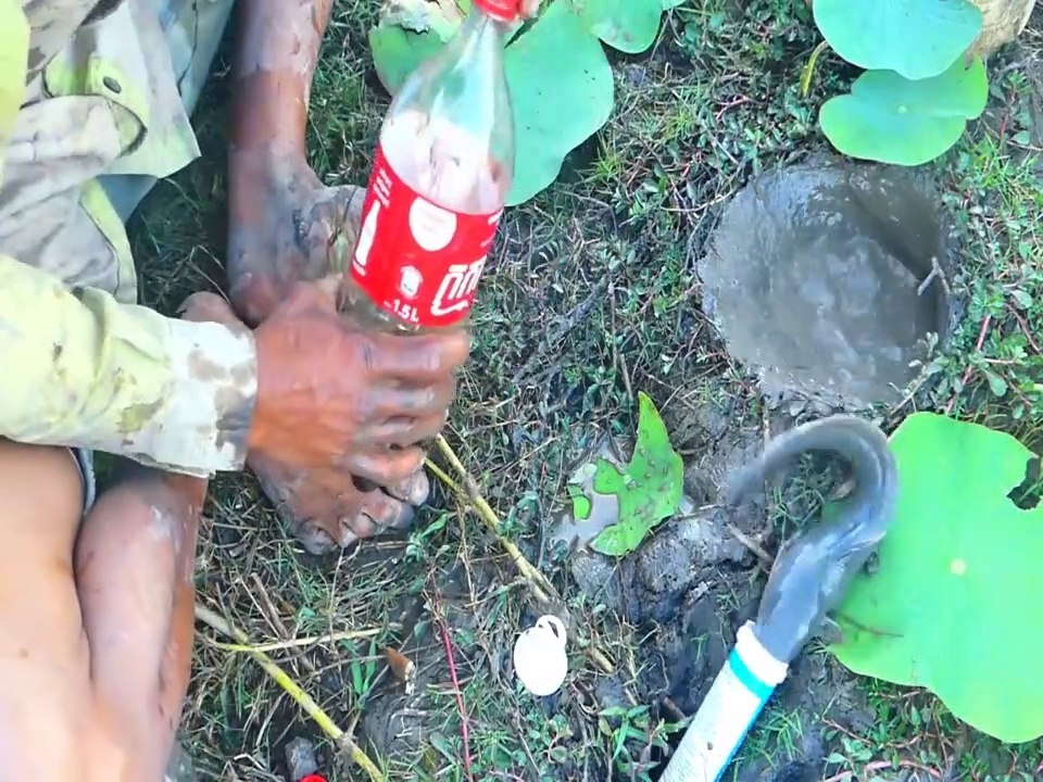 Experiment: Coca Cola and Calcibronat vs Fish in Underground Hole | Animal Trap