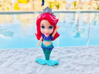 ARIEL Toy Doll POOL DAY and The Little Mermaid Under The Sea Adventure Ride Disneyland