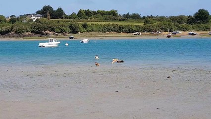 A la plage Aout 2020