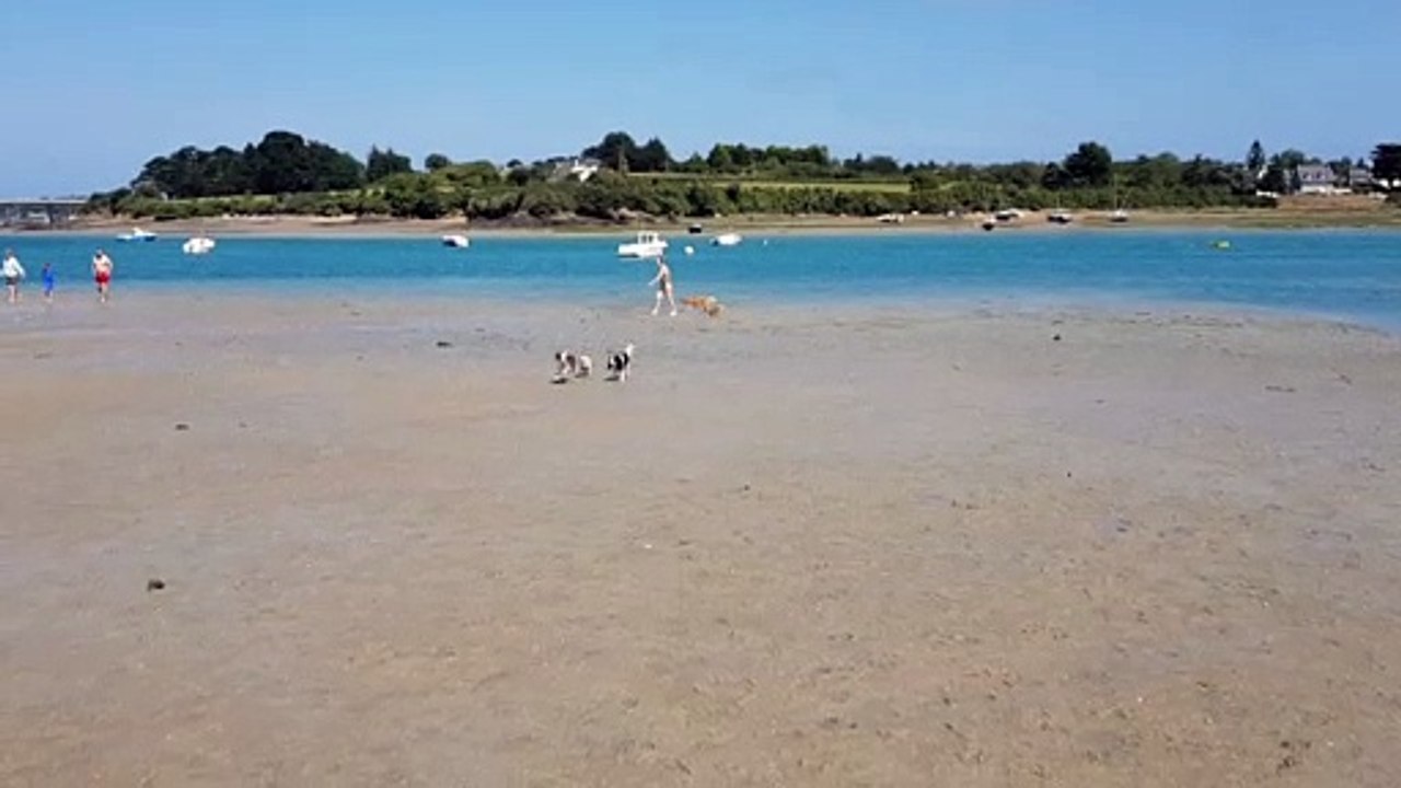 A la plage aout 2020 suite