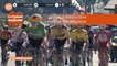 Critérium du Dauphiné 2020 - Étape 4 / Stage 4 - Team Jumbo-Visma leading the peloton / Team Jumbo-Visma en tête du peloton