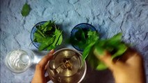Remove Pimple & pimple scar with Neem Tulsi icecube./.Natural DIY/
