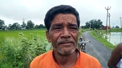 आवारा गोवंश से किसान हुआ परेशान