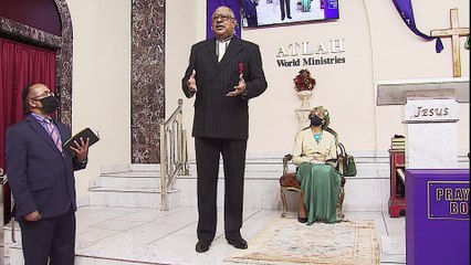 SAUSAGE BRAIN NEGROES