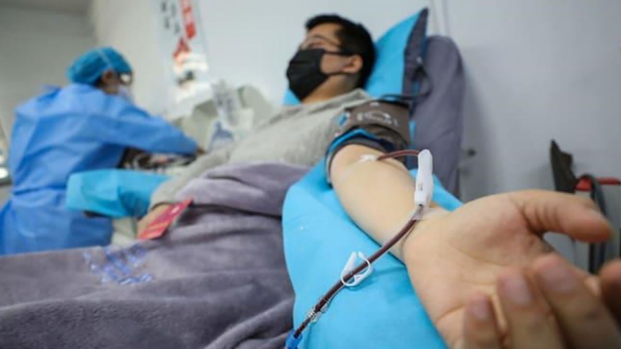 Người hiến huyết tương: Chỉ mong bệnh nhân được trở về nhà