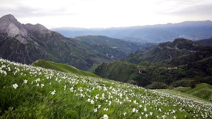 Relajante Música de pianos # 4