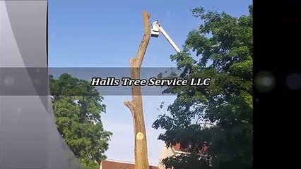 Halls Tree Service LLC