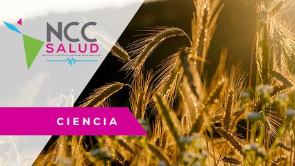 Las se­quías en Cen­troa­mé­ri­ca han lle­va­do a la des­nu­tri­ción cró­ni­ca a cien­tos de ni­ños